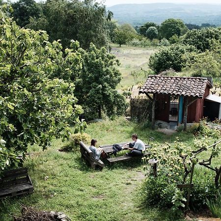 Torre Tanquian Eco Finca - Ribeira Sacra ปันตอน ภายนอก รูปภาพ
