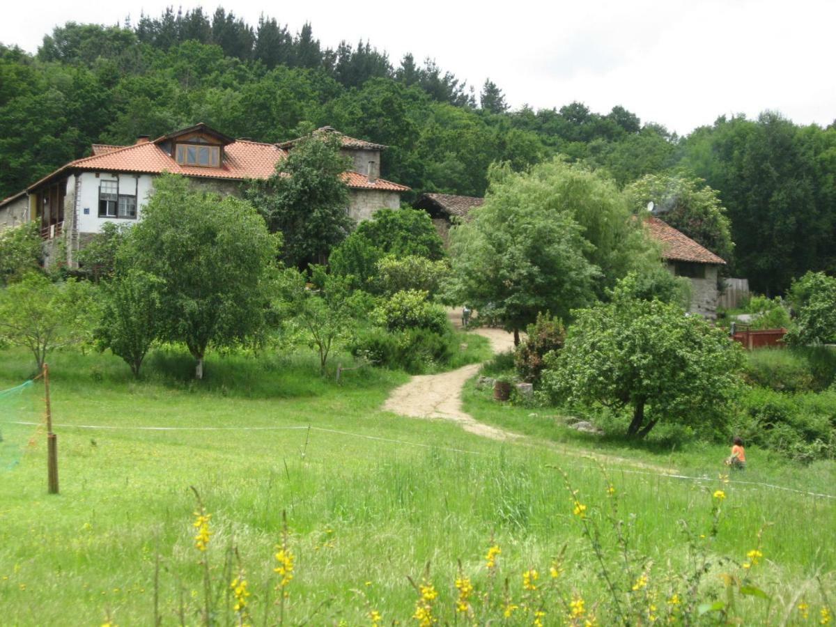 Torre Tanquian Eco Finca - Ribeira Sacra ปันตอน ภายนอก รูปภาพ