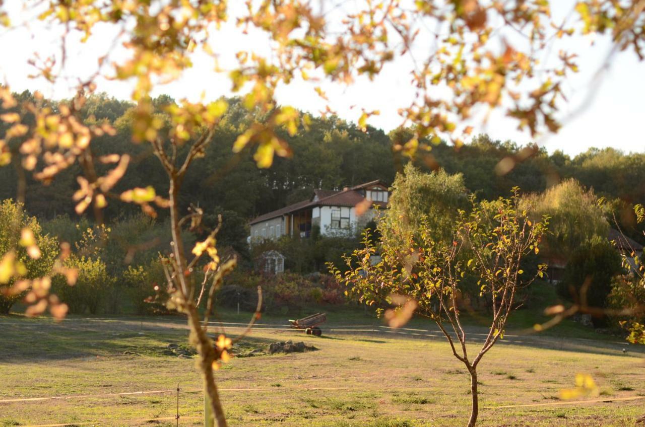 Torre Tanquian Eco Finca - Ribeira Sacra ปันตอน ภายนอก รูปภาพ